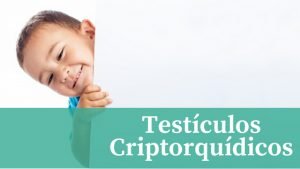 testículos criptorquídicos